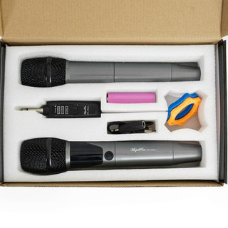 Pair of Musrand Universal Wireless Microphone Rechargeable Handheld Speaker Karaoke Microphone with Receiver