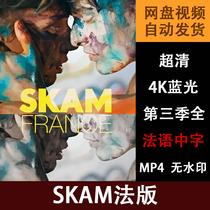 SKAM法版   全集 电视剧 超清宣传画 宣传画画质