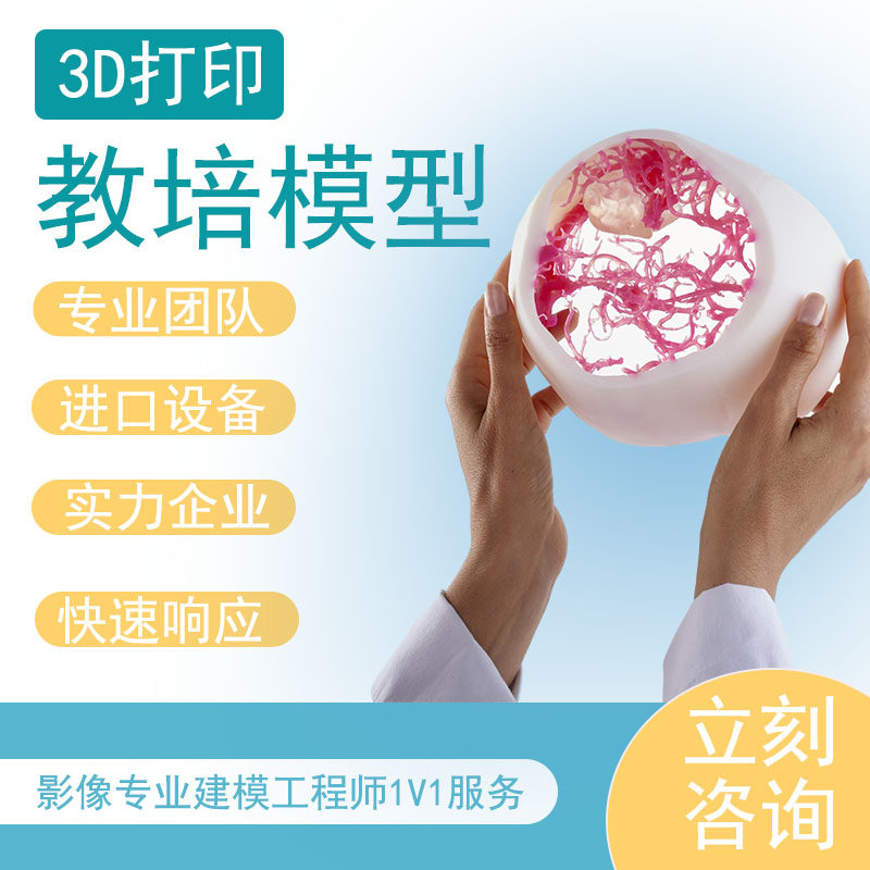 3D打印人体模型高精度真实还原解剖力学反馈演练教培彩色单色定制