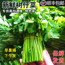 (SF Express) Hainan Shuzai vegetables fresh Wuzhishan wild vegetables Chaoshan cuisine Tianxiang green liver vegetables vegetables