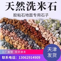 Tianjin washed rice stone terrazzo washed rice stone white colored gravel water brushed stone aggregate adhesive stone permeable stone