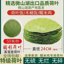 Whole lotus leaf dried lotus leaf slices 24 cm round shape 50 pieces fresh glutinous rice chicken lotus leaf rice lotus leaf tea cage rice