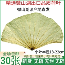 Whole lotus leaves dried lotus leaves fresh lotus leaves for beggars chicken glutinous rice chicken lotus leaf rice lotus leaf chicken porridge lotus leaf tea