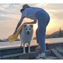 (Bellas) pet absorbent towel