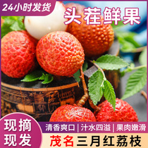 Lychee Fresh March Red lychee теперь нашли волосы 2024 Season Fresh Fruit Whole Boxes Теперь off