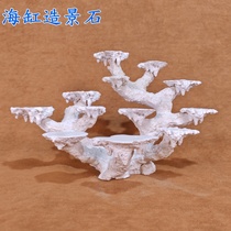 Branched seawater fish tank coral tank landscaping dead stone live stone landscaping Java stone landscaping large and small fish tank artificial stone landscape