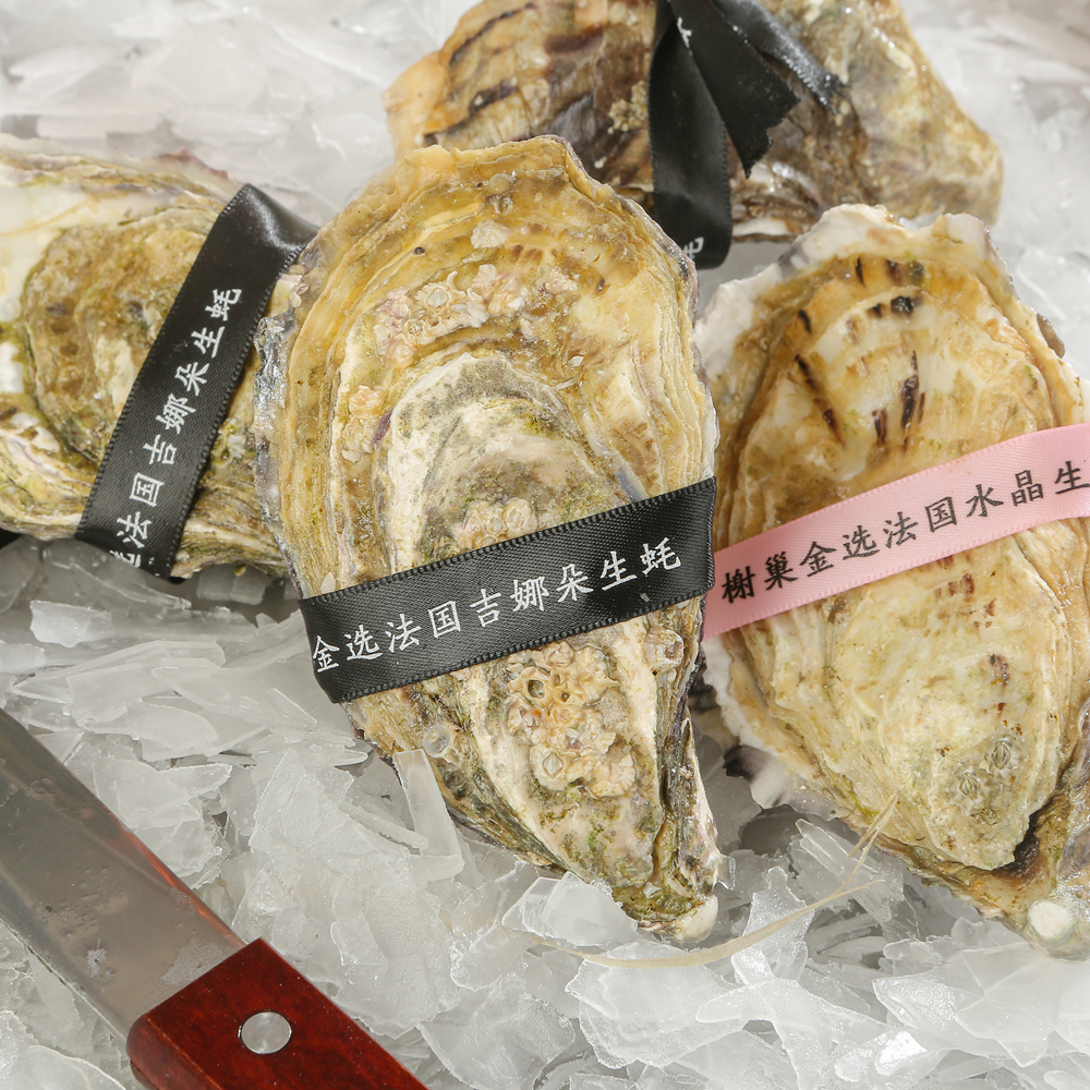 法国吉娜朵生蚝：舌尖上的奢华鲜味