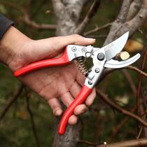 Fruit tree pruning shears fruit branch shears gardening shears pruning shears v8 fruit branch shears small scissors SK5