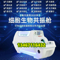 Hubei 5D bioresonance chip energy cabin beauty salon special acrylic space capsule far infrared health cabin
