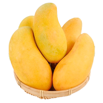 Panzhihua Jinhuang Mango 10 pounds fresh narcissus sweetheart mango seasonal whole box fruit extra large green mango