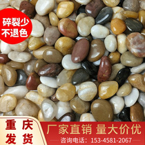 Chongqing cobblestone stone paving trail raw stone cobblestone courtyard fish tank large natural color soft warm stone