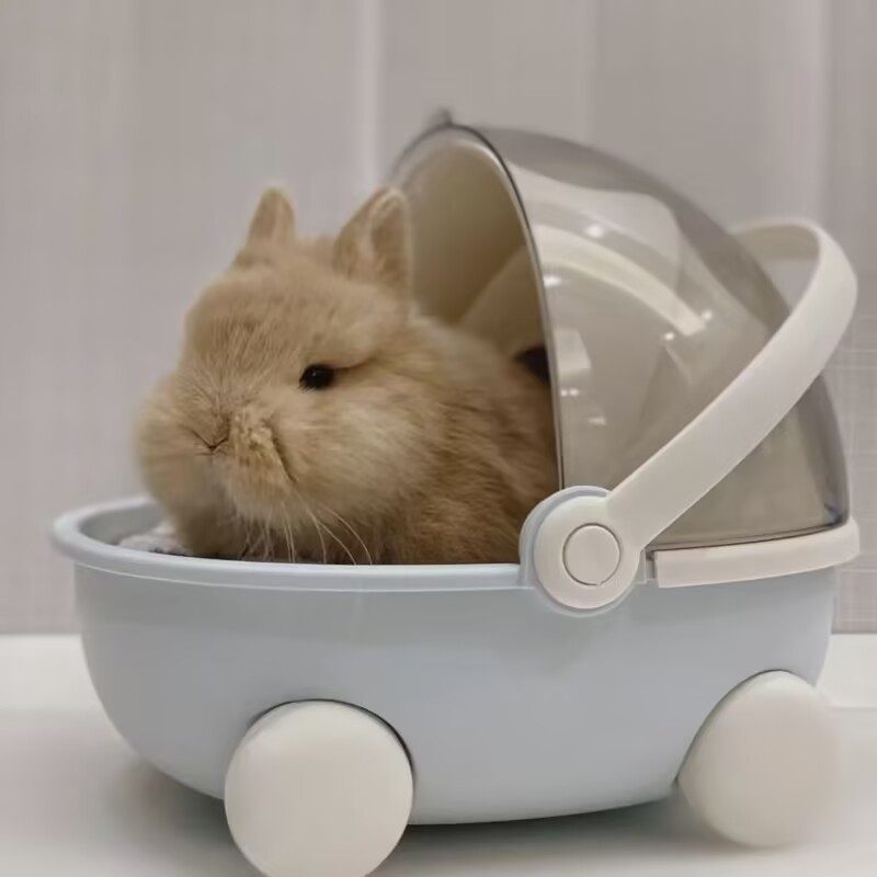 如何选到最合适的宠物兔兔笼?聊聊新国标下养兔的注意事项