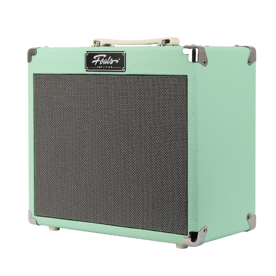 FOALS电吉他音箱FW20/10新手入门练习排练演出室内演奏音响家用