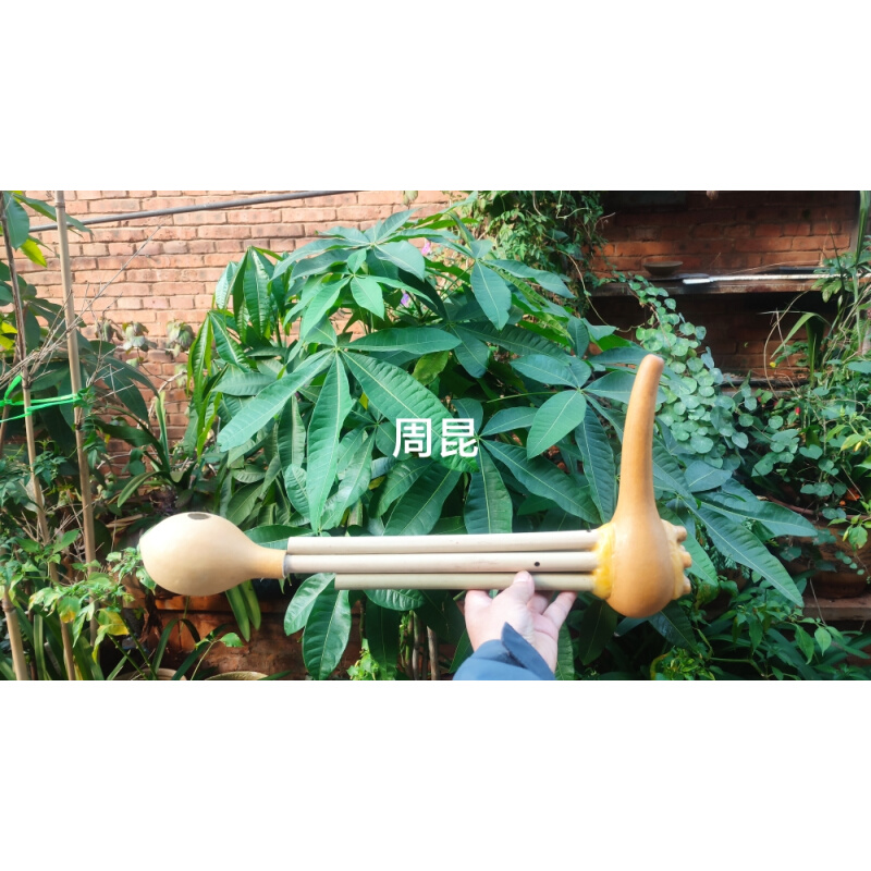 Lusheng One Ruler 2 Lijiang Naci Nation Five-pipe Diqing Twin Tune Copper Tongue Beating Non-Relic Manufacturer Direct Sales Can Develop Ticket-Taobao