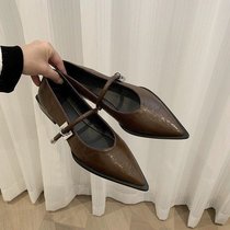 2024 New Thick Heel Low Heel Single Shoes Womens French Pointed Toe Trendy Korean Style One-Buckle Mary Jane Shoes