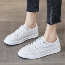 White shoes womens shoes new spring popular sports sneakers womens fashion 2024 white versatile casual shoes spring and autumn