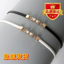 Pearl Thin Belt Womens Skirt Simple and Versatile Decorative Shirt Dress Waist Belt Sweater Waist Chain Accessories