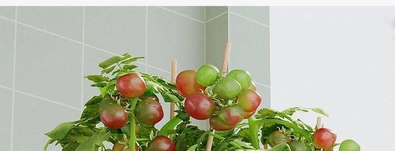 Балкон стойки 阳台种菜神器多层小推车置物架厨房蔬菜篮家用种菜专用盆缝收纳架