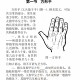 Hand Reading: Chen Dinglong's Illustrated Guide to Palm Prints and Fingerprints in Simple Chinese (2 Volumes) - Ancient Books on Palm Diagnosis and Prediction