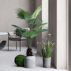 Nordic large-scale simulated floor-standing plant palmetto tree fan palm fake tree potted large-leaf tropical green plant landscaping ornaments