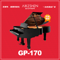 Axion Pianist GP Series GP-170