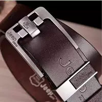 Серебряная пряжка коричневый ремень