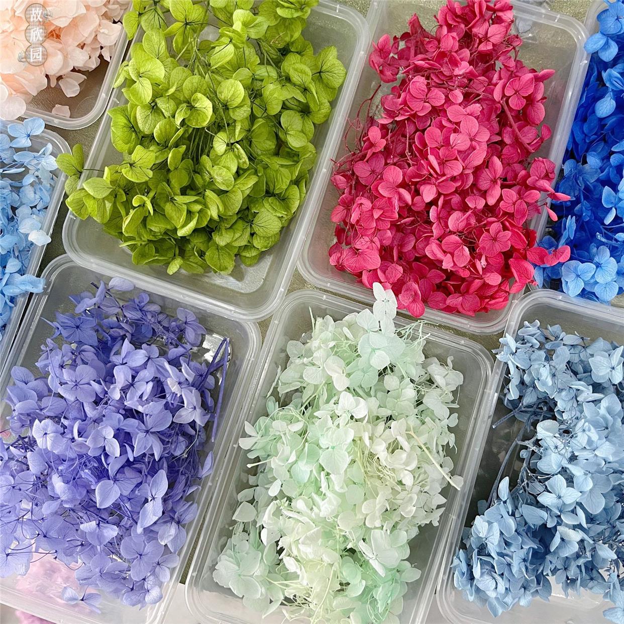 Embroidered flowers Yongsheng Anna Bulk embroidered ball petals dried flowers Yongsheng Wedding Decoration Gift-Taobao