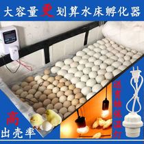 (Large capacity is more cost-effective) Household small bionic waterbed incubator intelligent temperature-controlled egg hatching box incubation equipment
