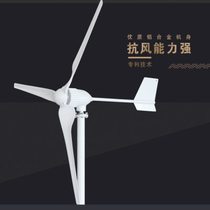 Wind turbine household 12V24V220v permanent magnet small wind energy generator with wind and solar complementary control