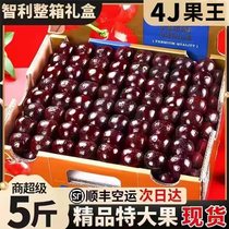 Chilean cherries imported fresh fruit crispy sweet large cherries in stock for pregnant women 4j SF air freight gift box