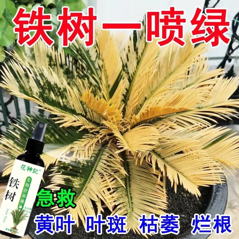 undefined-淘宝网