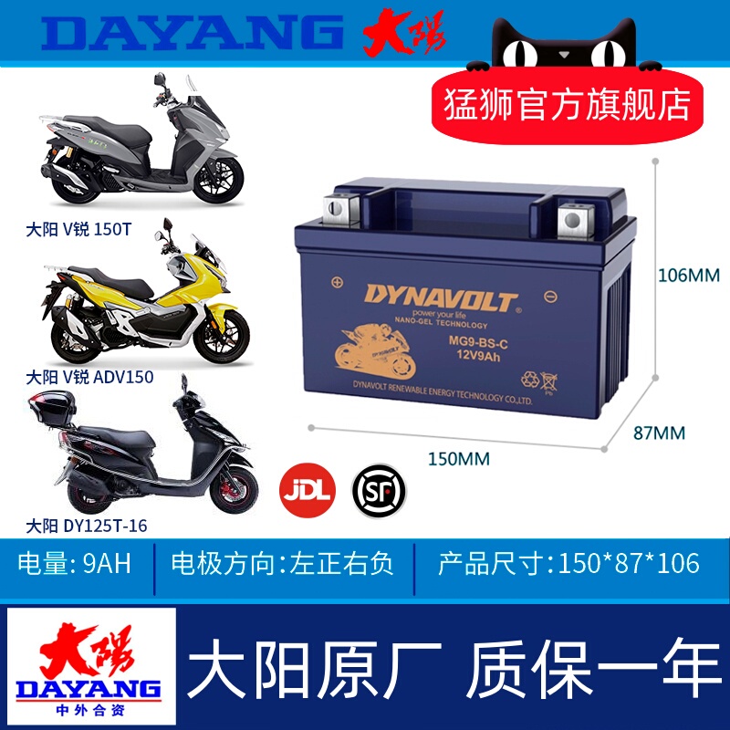 Mengshi Dayang Adv150 Dy150T-36/Adv350T/Vrs125/V-Rui 250T/V-Rui 300 Battery