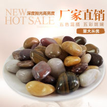 Cobblestone rainfed stone mixed colour stone paving small pebble fish tank flower pots potted gardening embelise goose soft stone mix)