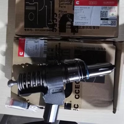 🔥重庆康明斯QSN14喷油器｜型号4307516/4307776/4384360，你真的懂它吗？-喷油嘴-淘宝好物网