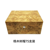 Тополь гранатовый 75 штук