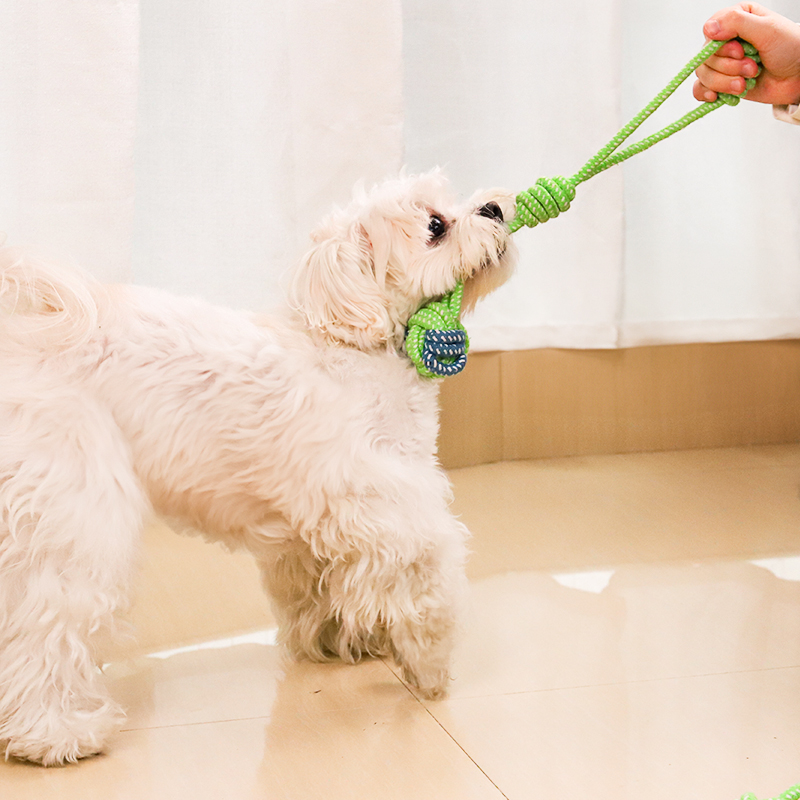犬のおもちゃ ロープ編み込みデンタルトイセット