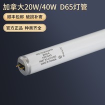 Canadian D65 lamp F20T12 65 American standard D65 GRETAGMACBETH color matching lamp D65 light source