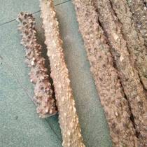 Wild prickly ash wood hand stick log massage hand stick hand piece massage stick crutches play stick health stick fitness