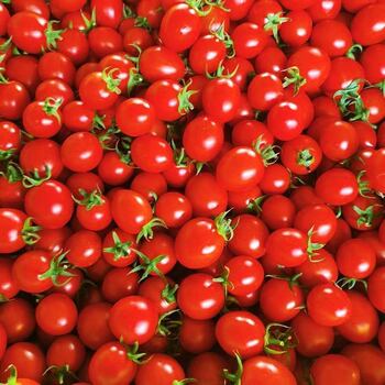 Guangxi millennium cherry tomato millennium fruit