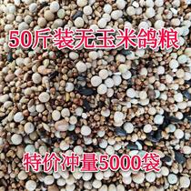 50 pounds of pigeon food without corn pigeon food bird food racing pigeon homing pigeon flying watch meat young adult pigeon food