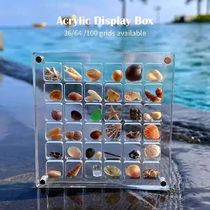 1Pcs Clear Acrylic 12x12cm Magnetic Seashell Display Box