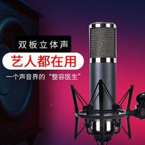 High-end fine carbon steel large diaphragm condenser microphone finely tuned double board anchor singing professional recording microphone customization