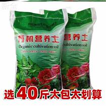 high qualityflowers potted plant a garden soil nutrient earth