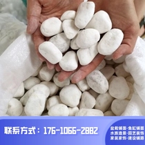 Zhejiang Baishizi small stone flowerpot courtyard washed hydroponic plants pebbles landscaping fish tank succulent pavement