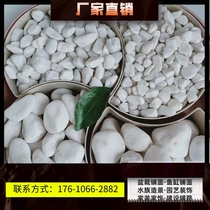 Shandong factory direct sales specification all white stone pebbles rain flower stone flower pot potted fish tank bottom sand and gravel landscaping