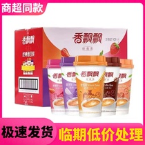Expired low price processing fragrant coconut milk tea original wheat flavor strawberry taro mixed with coffee flavor meal replacement milk tea