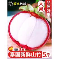 Thai mangosteen fresh large fruit 5 pounds of seasonal tropical fruits whole box for pregnant women seasonal imported oil bamboo 5a SF