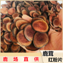 Deer antler red powder slices dried antler homemade deer farm Jilin sika deer township blood tablets dried antler soaked in wine medicinal herbs nourishing