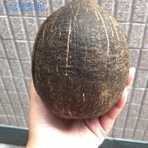 (Coconut Shell Natural Yu playboard Huqin cavité instrumental Coconut shell raw material origin direct#39 lsquo #39 