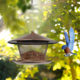 Outdoor Squirrel-Proof Weather-Resistant Metal Hanging Bird Feeder for Rooftop Garden and Courtyard Decoration